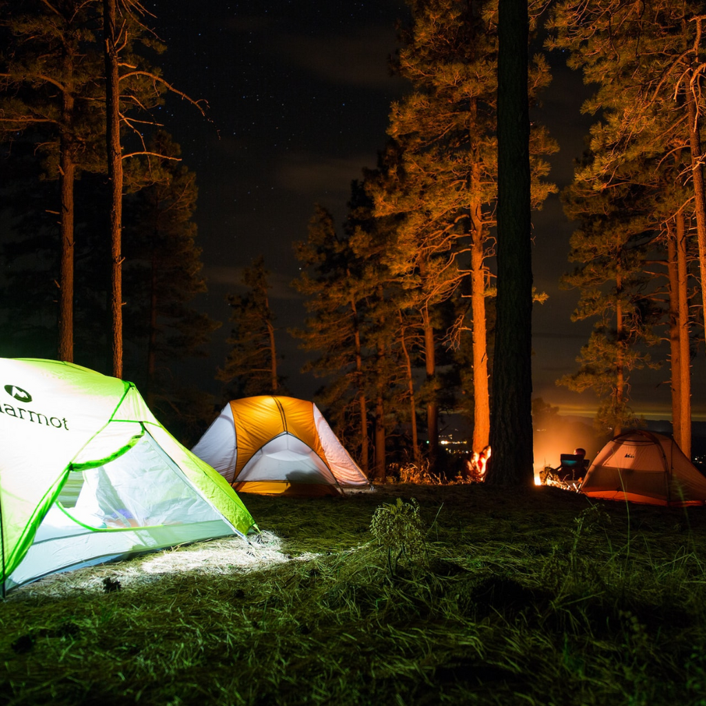 Camping Essentials For Your Next Trip