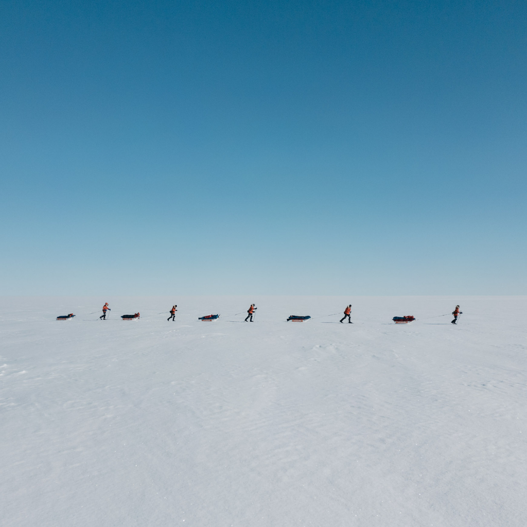 Arctic Explorers: The Greenland Project