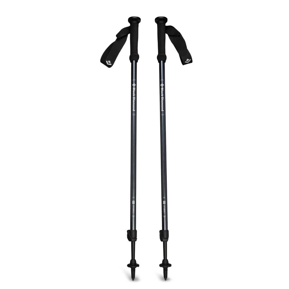 Black Diamond Explorer 2 Trekking Poles (Pair) Handles