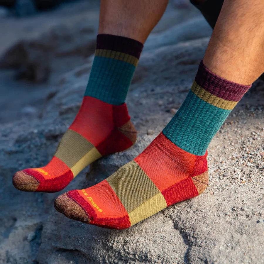 Darn Tough Heady Stripe Micro Crew Lightweight with Cushion Socks Pair