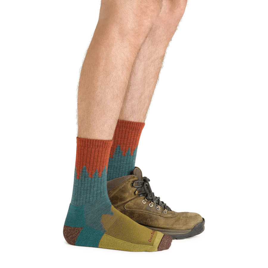Darn Tough Number 2 Micro Crew Midweight with Cushion Socks Side